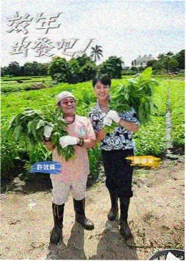 免费高清电视剧在线观看 喜剧之王